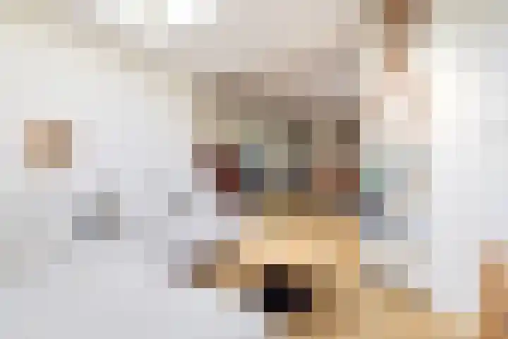 De Rode Haan 7 Soest thumbnail 16