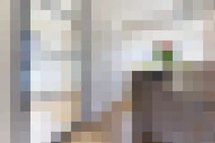 De Rode Haan 7 Soest thumbnail 18