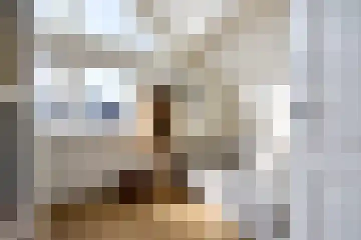De Rode Haan 7 Soest thumbnail 21