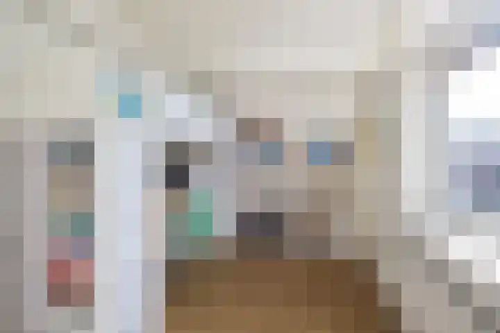 De Rode Haan 7 Soest thumbnail 22