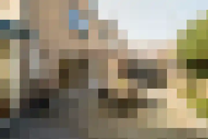 De Rode Haan 7 Soest thumbnail 30