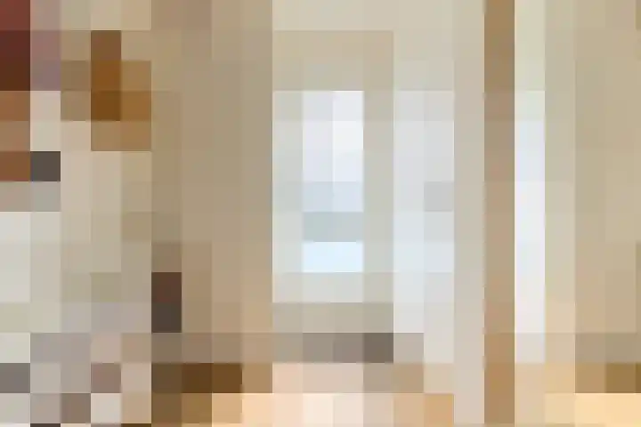 De Rode Haan 7 Soest thumbnail 31