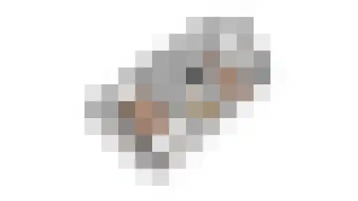 De Rode Haan 7 Soest thumbnail 38