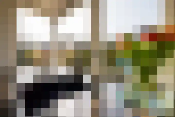 De Rode Haan 7 Soest thumbnail 8
