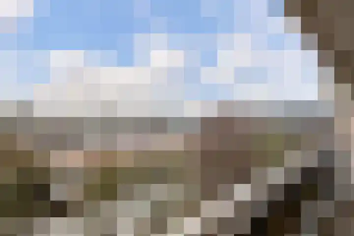 De Roerdomp 147 Purmerend thumbnail 22