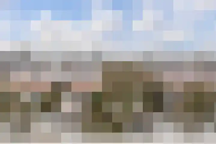 De Roerdomp 147 Purmerend thumbnail 24
