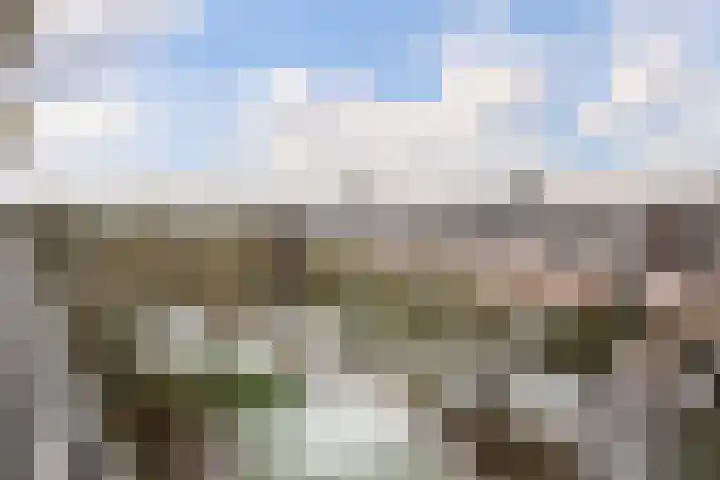 De Roerdomp 147 Purmerend thumbnail 25