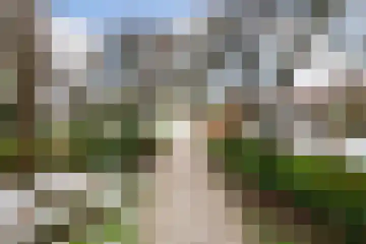De Roerdomp 147 Purmerend thumbnail 26
