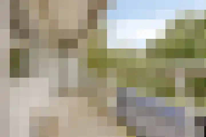 De Roerdomp 26 Purmerend thumbnail 22