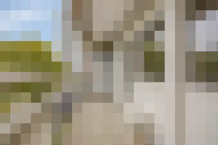 De Roerdomp 26 Purmerend thumbnail 23