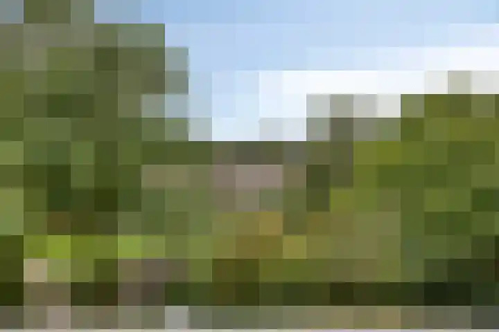 De Roerdomp 26 Purmerend thumbnail 24