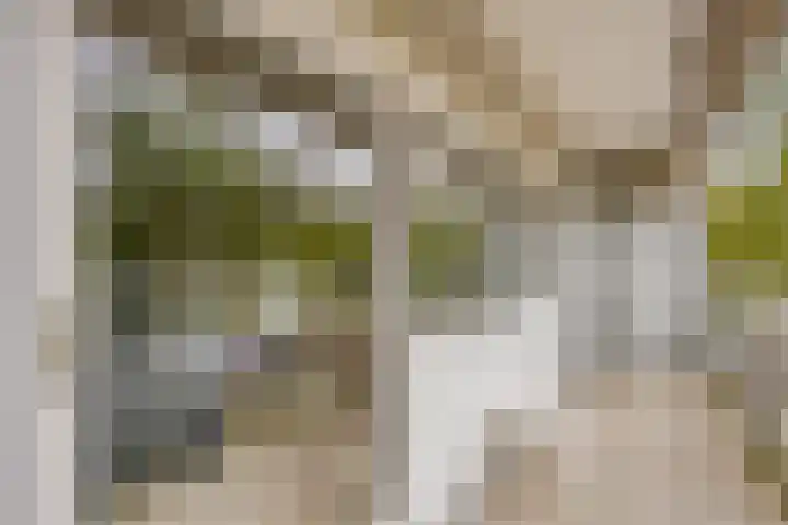 De Roerdomp 26 Purmerend thumbnail 25