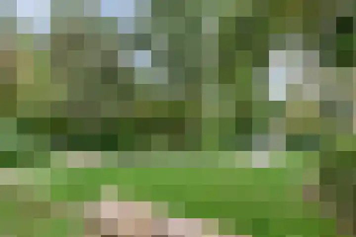 De Roerdomp 26 Purmerend thumbnail 26