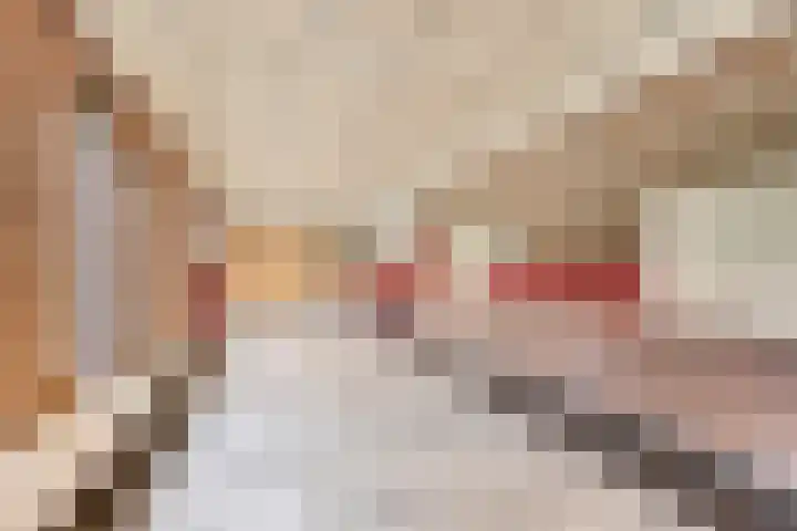 De Roerdomp 26 Purmerend thumbnail 4