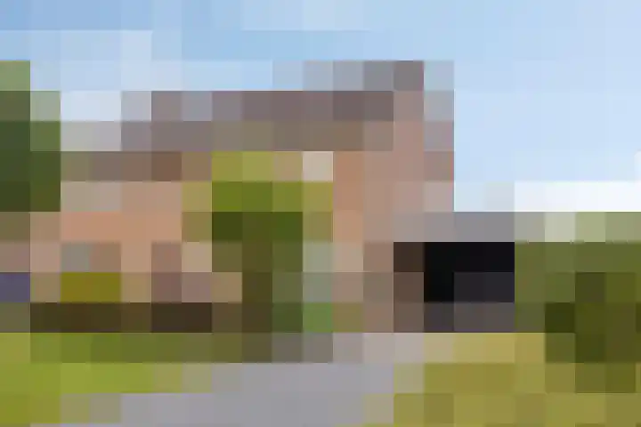 de Roerdomp 39 Denekamp