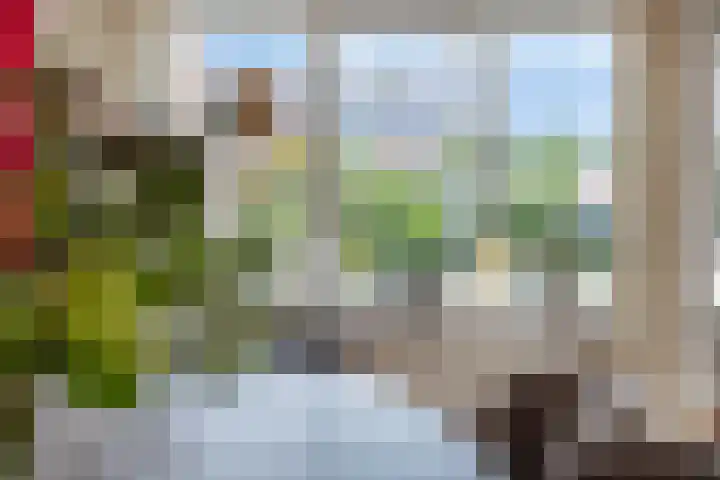 de Roerdomp 39 Denekamp thumbnail 10