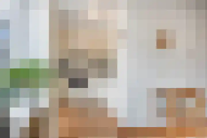 de Roerdomp 39 Denekamp thumbnail 11