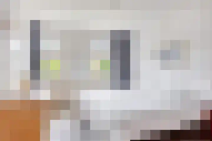 de Roerdomp 39 Denekamp thumbnail 16