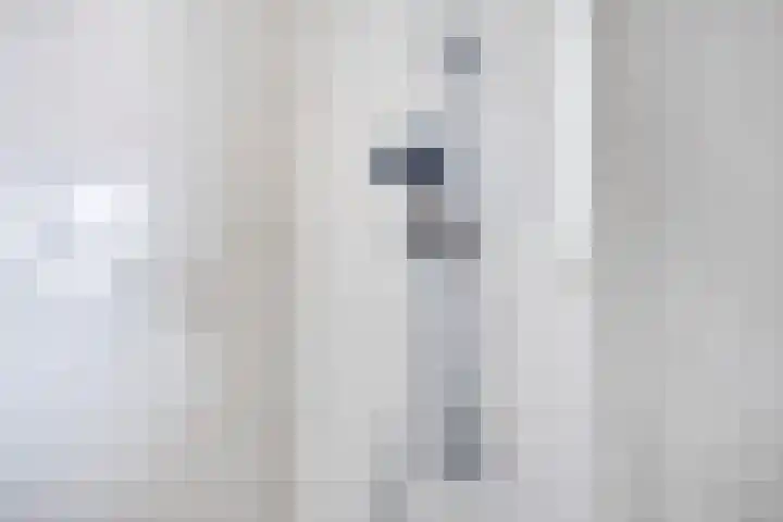 de Roerdomp 39 Denekamp thumbnail 20