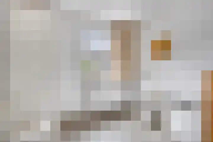 de Roerdomp 39 Denekamp thumbnail 23