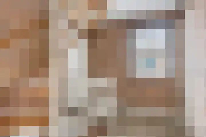 de Roerdomp 39 Denekamp thumbnail 24
