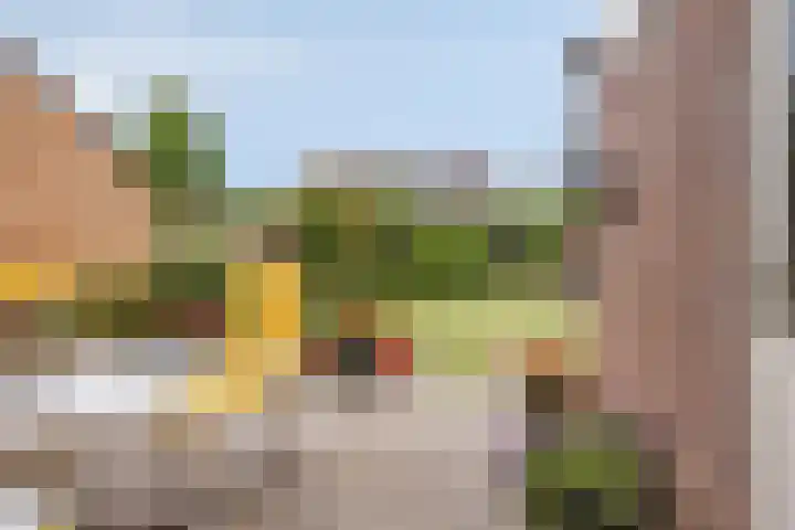 de Roerdomp 39 Denekamp thumbnail 29