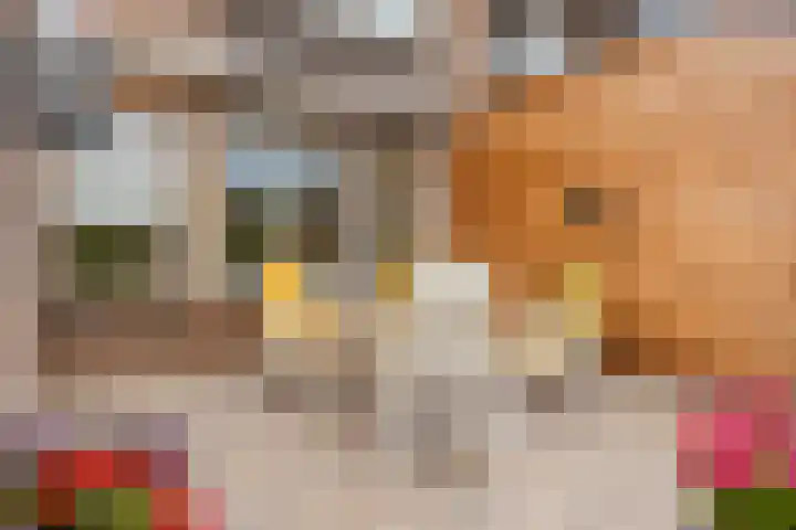 de Roerdomp 39 Denekamp thumbnail 30