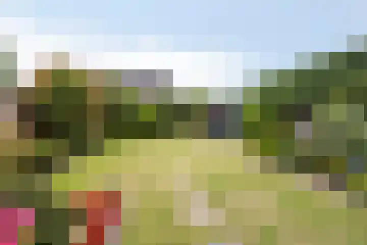 de Roerdomp 39 Denekamp thumbnail 31