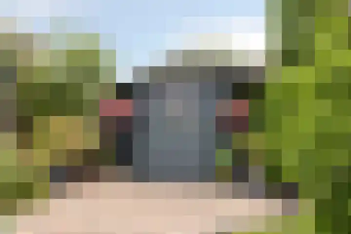 de Roerdomp 39 Denekamp thumbnail 32