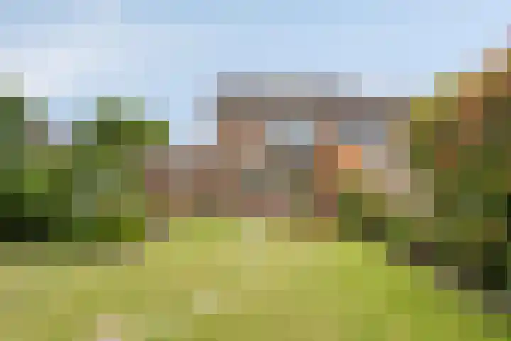 de Roerdomp 39 Denekamp thumbnail 33
