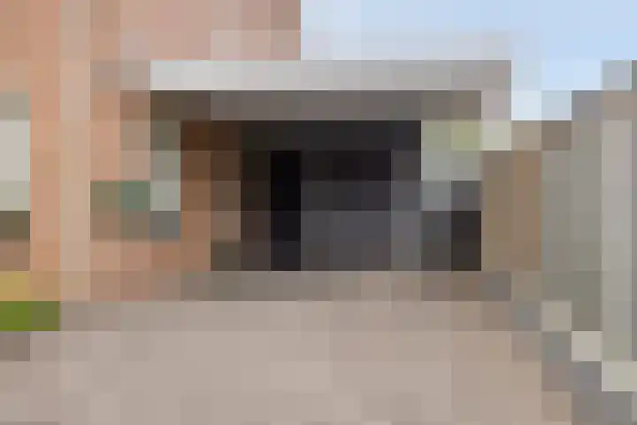 de Roerdomp 39 Denekamp thumbnail 35