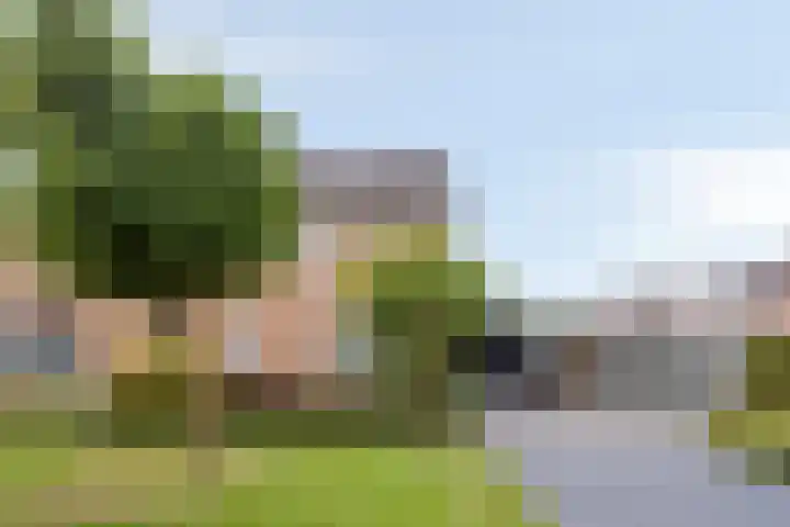 de Roerdomp 39 Denekamp thumbnail 36