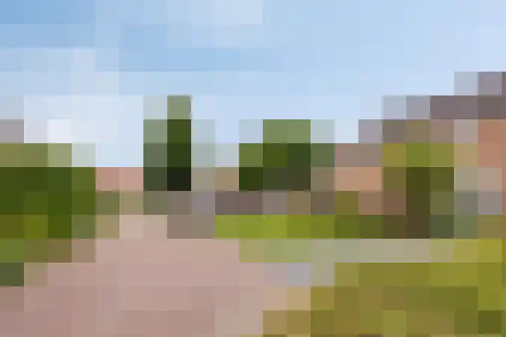 de Roerdomp 39 Denekamp thumbnail 37