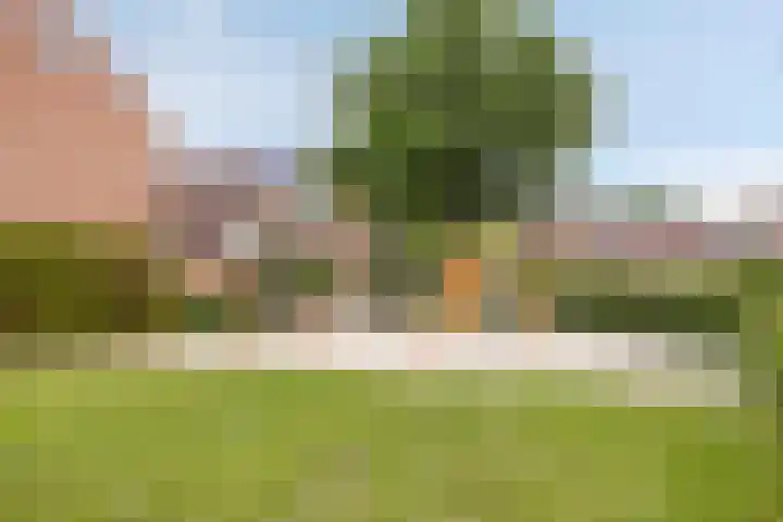 de Roerdomp 39 Denekamp thumbnail 38
