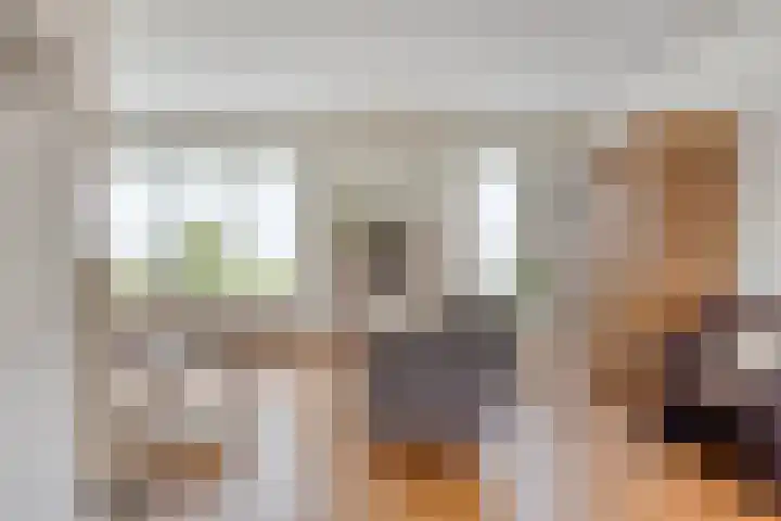 de Roerdomp 39 Denekamp thumbnail 5