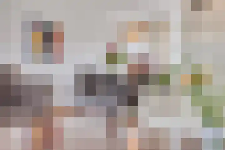 de Roerdomp 39 Denekamp thumbnail 6