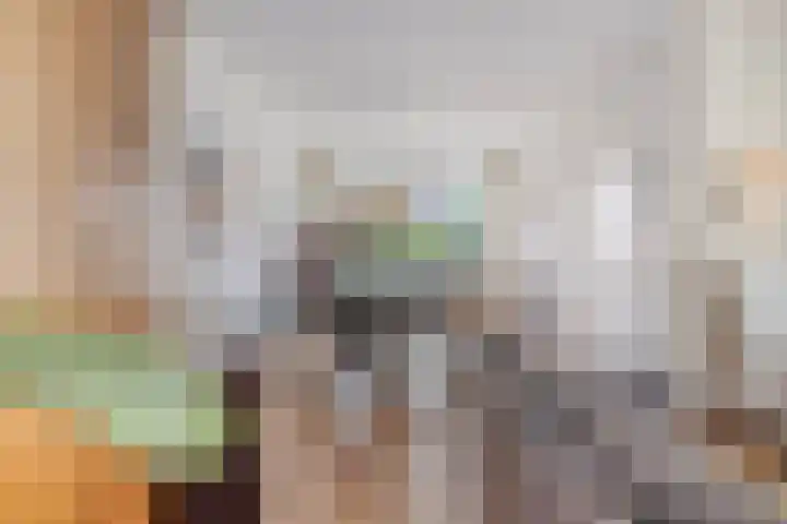de Roerdomp 39 Denekamp thumbnail 7
