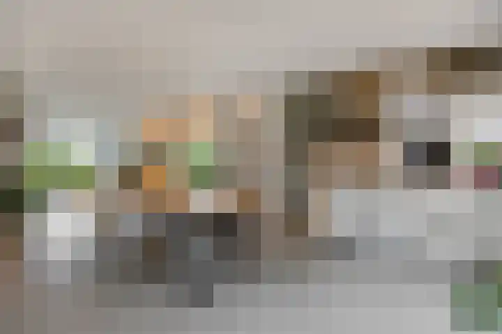De Roerdomp 43 Sint-Michielsgestel thumbnail 15