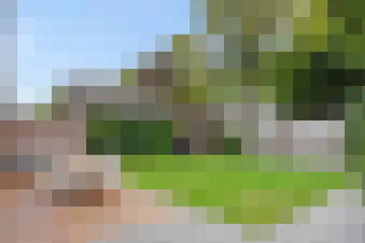 De Roerdomp 43 Sint-Michielsgestel thumbnail 35