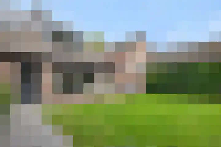 De Roerdomp 43 Sint-Michielsgestel thumbnail 36