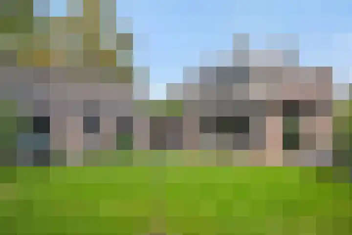 De Roerdomp 43 Sint-Michielsgestel thumbnail 37