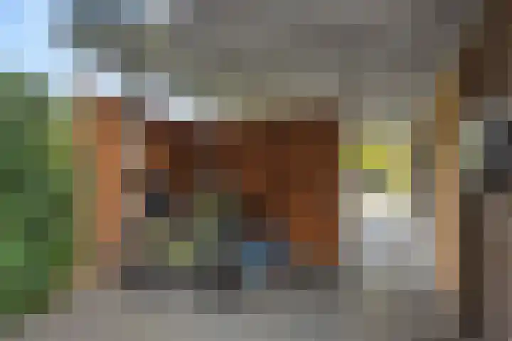 De Roerdomp 43 Sint-Michielsgestel thumbnail 41