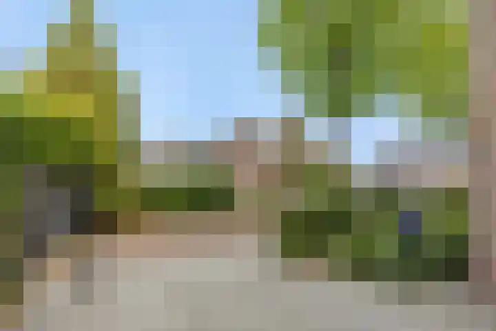 De Roerdomp 43 Sint-Michielsgestel thumbnail 42