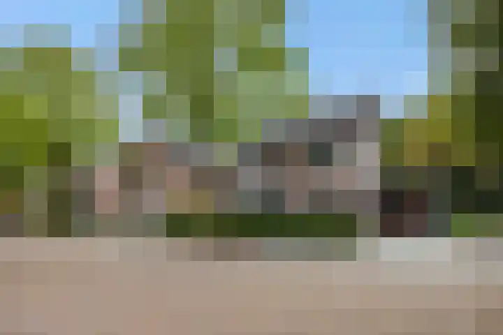 De Roerdomp 43 Sint-Michielsgestel thumbnail 44