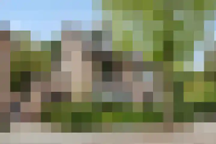 De Roerdomp 43 Sint-Michielsgestel thumbnail 45