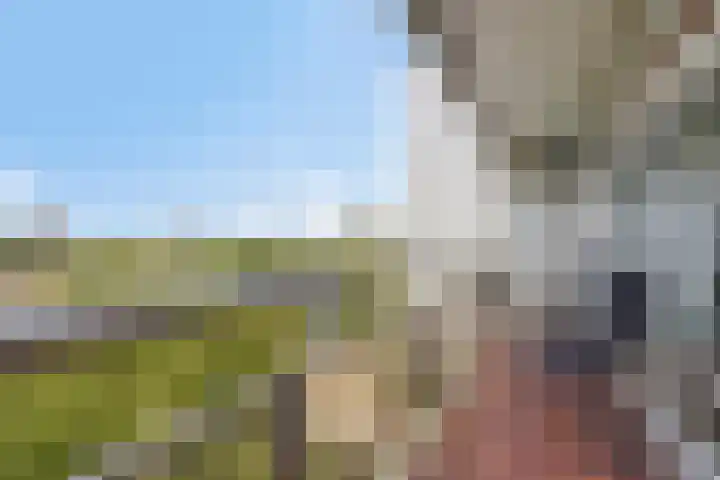 De Roerdomp 44 Purmerend thumbnail 26