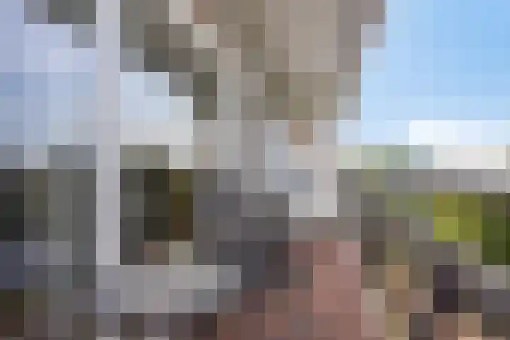 De Roerdomp 44 Purmerend thumbnail 28