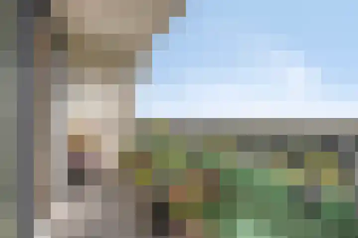 De Roerdomp 84 Purmerend thumbnail 19