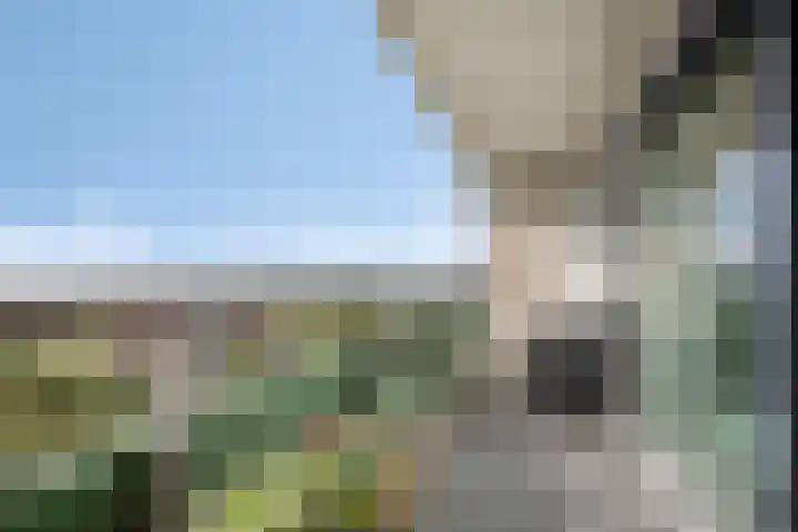 De Roerdomp 84 Purmerend thumbnail 20