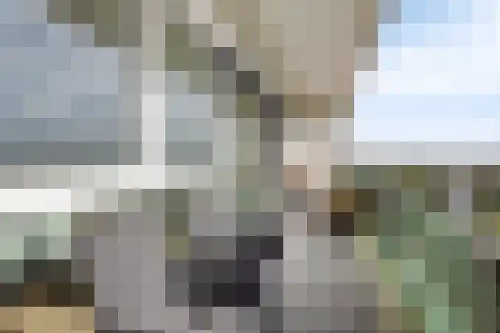 De Roerdomp 84 Purmerend thumbnail 21